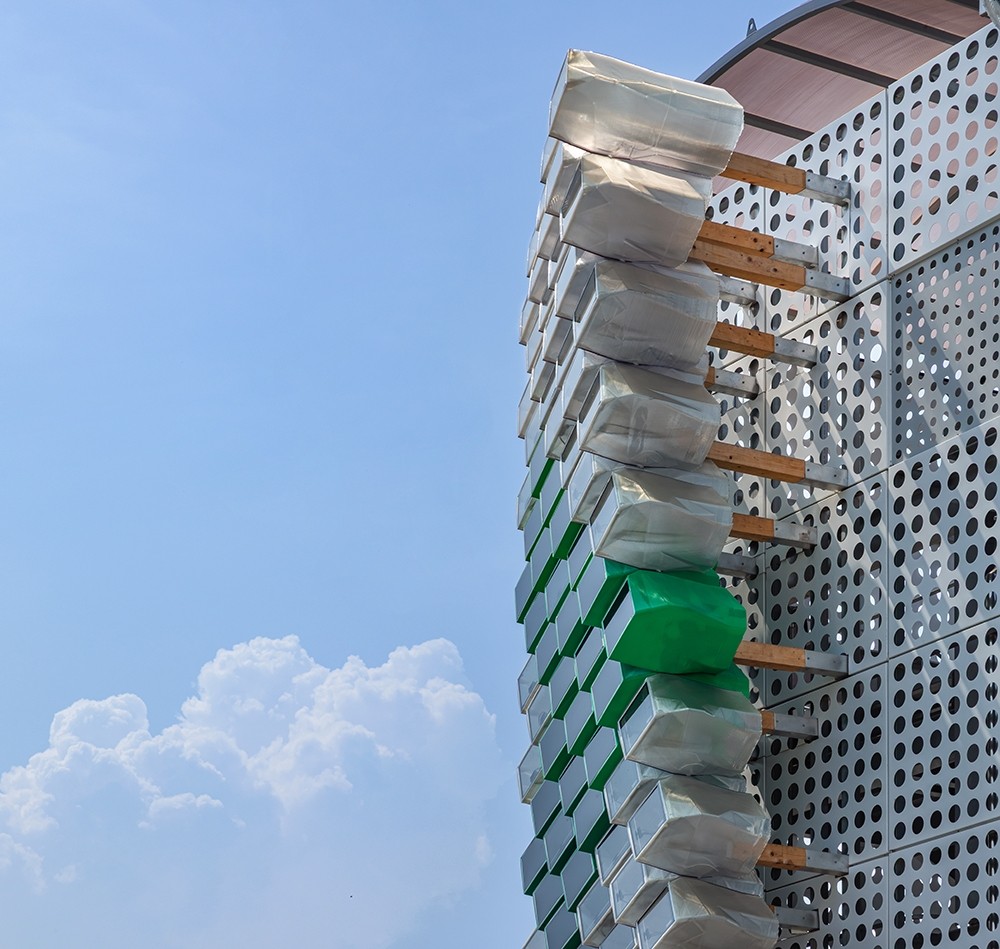 VINE. Photo by yoon_joonhwan.